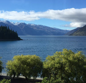 Meet your Posher, Lilly